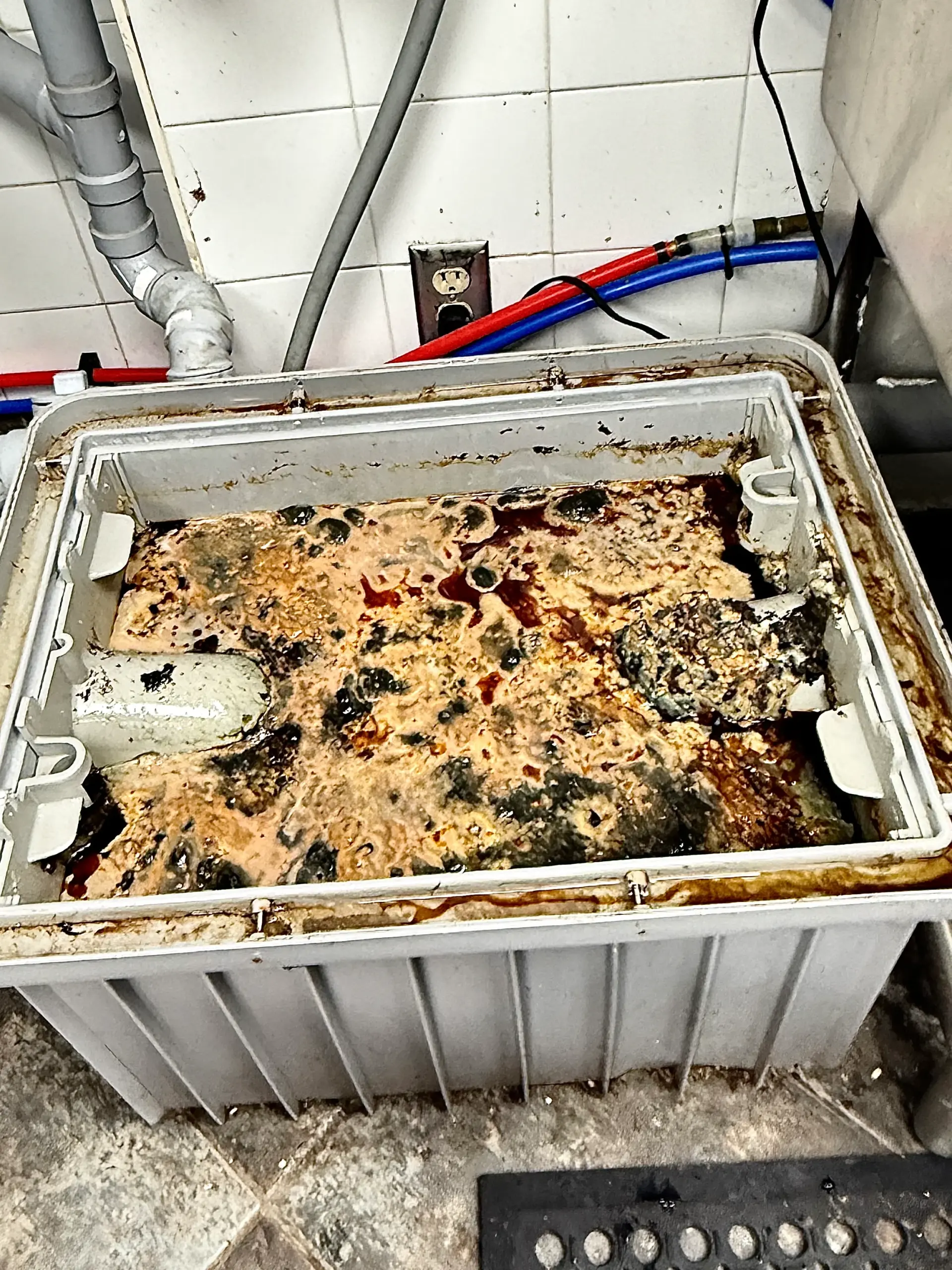 Service Image
