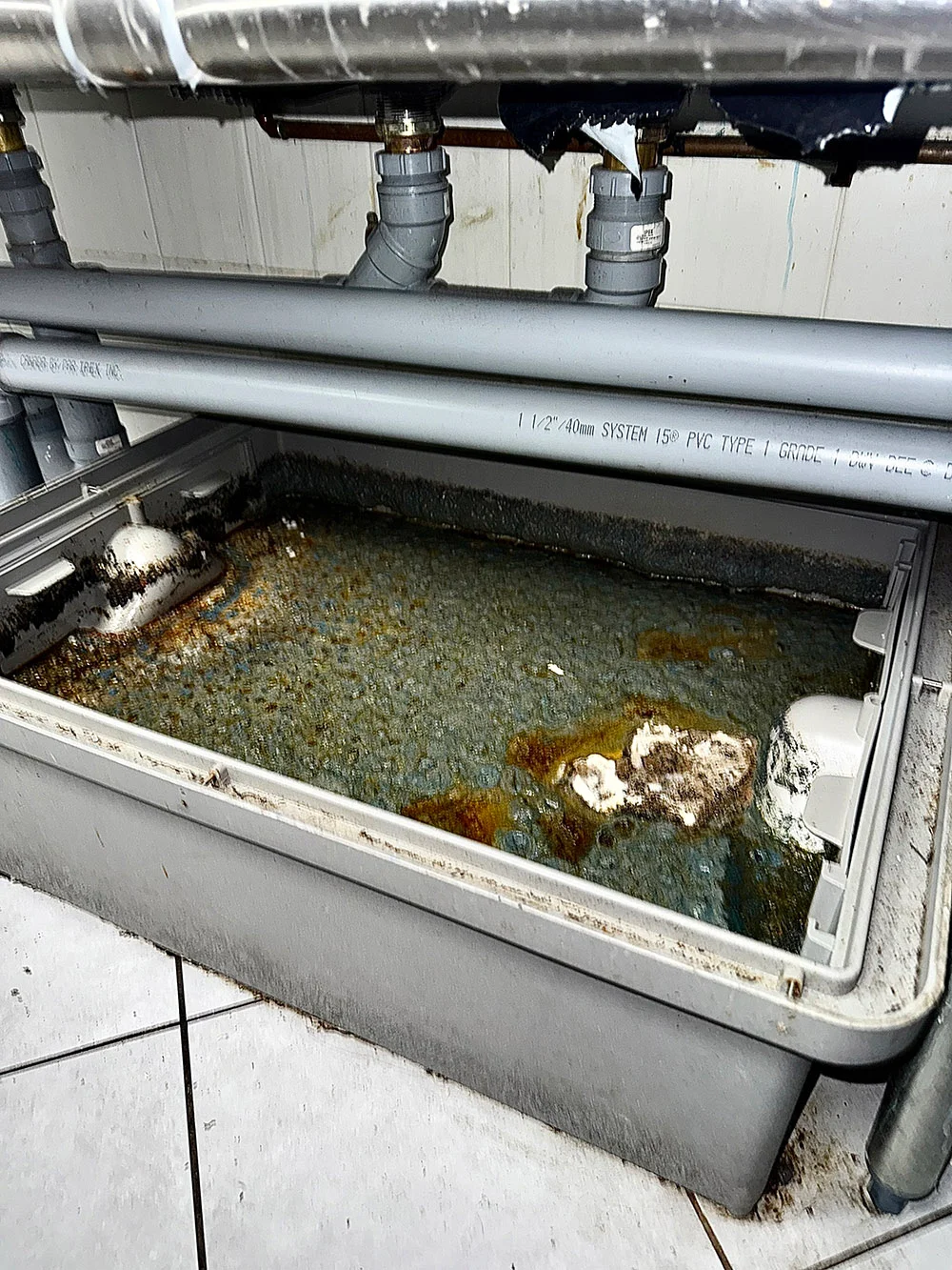 Service Image